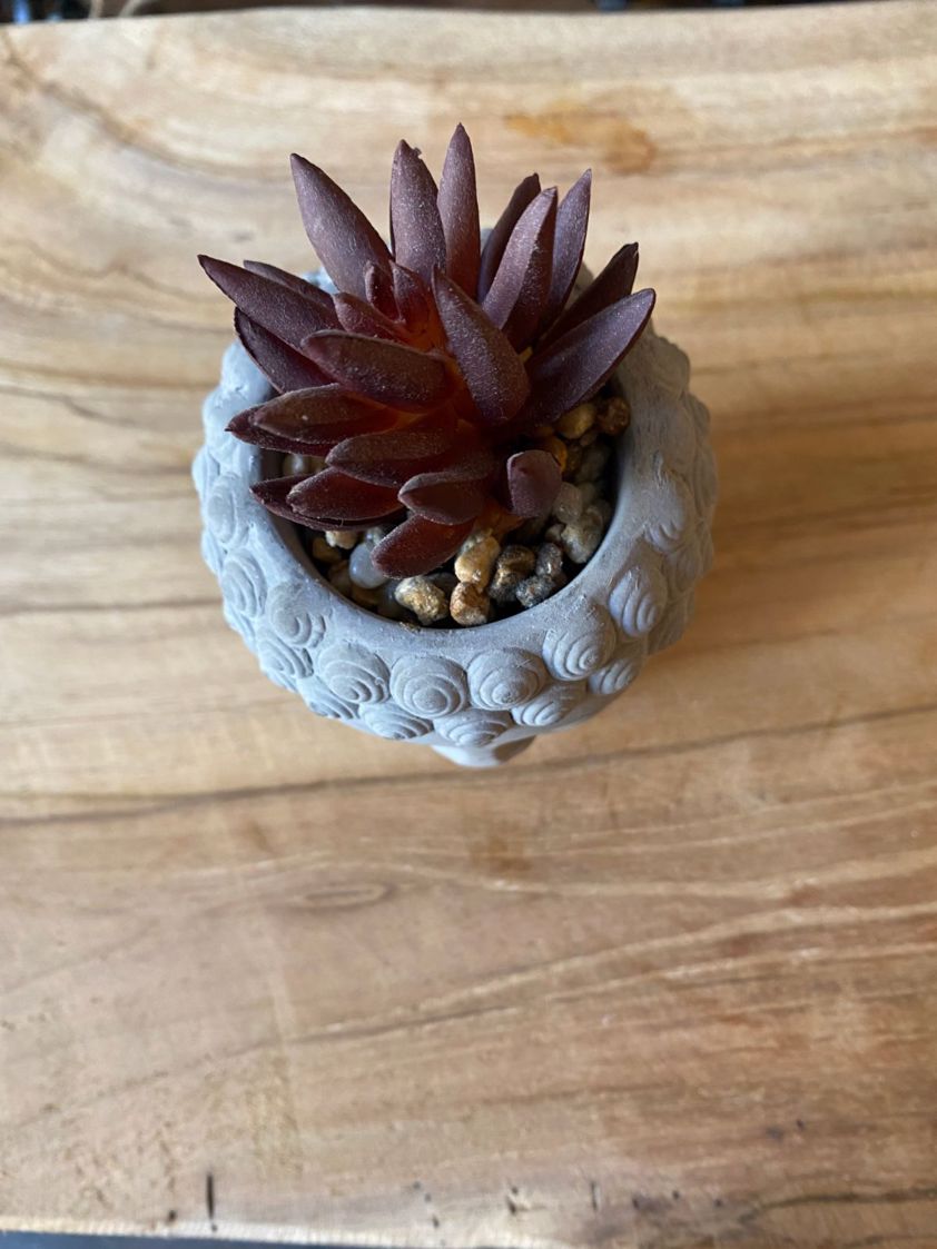 Purple Stone Buddha Head with Artificial Succulent