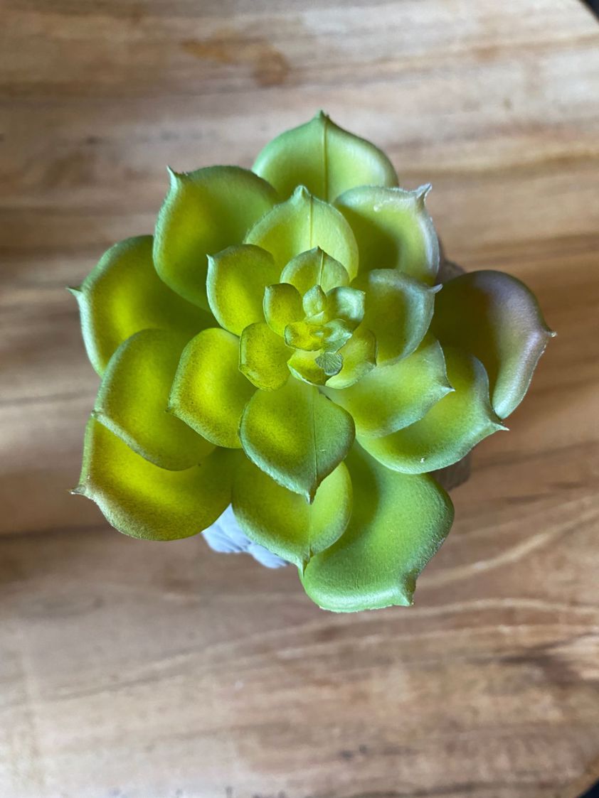 Light Green Stone Buddha Head with Artificial Succulent