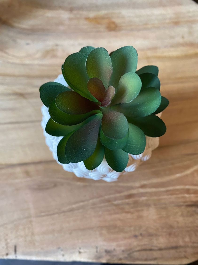 Dark Green Stone Buddha Head with Artificial Succulent