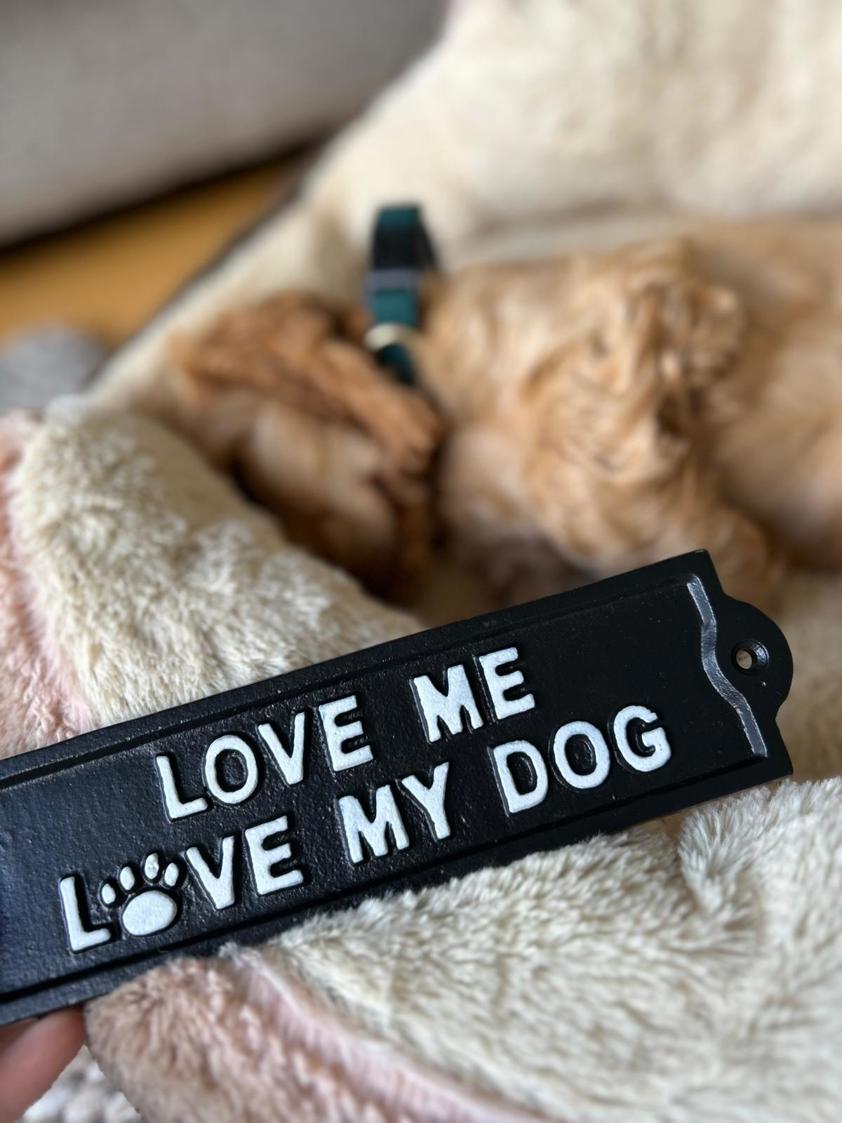 Black Love Me Love My Dog
