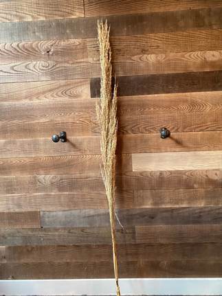  Large Dried Pampas Bundle