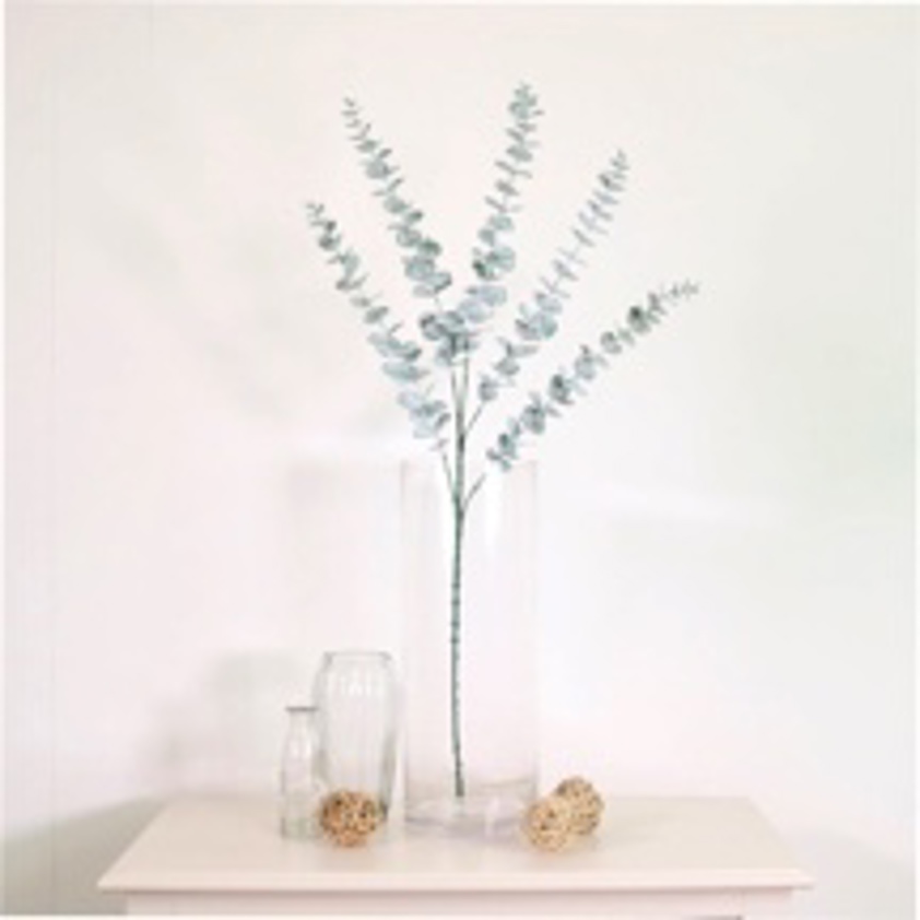 Natural Green Five Stem Dusted Eucalyptus