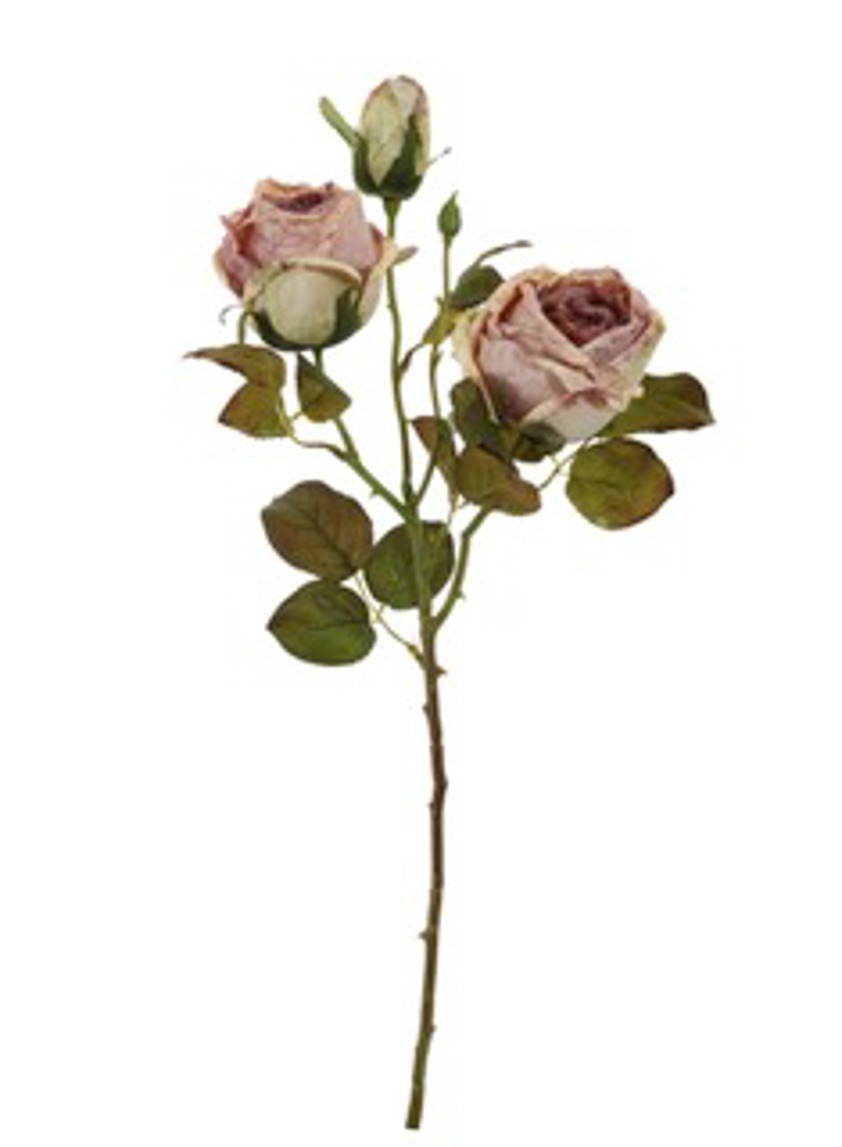Dried Touch Valera Rose Spray Dusty Pink