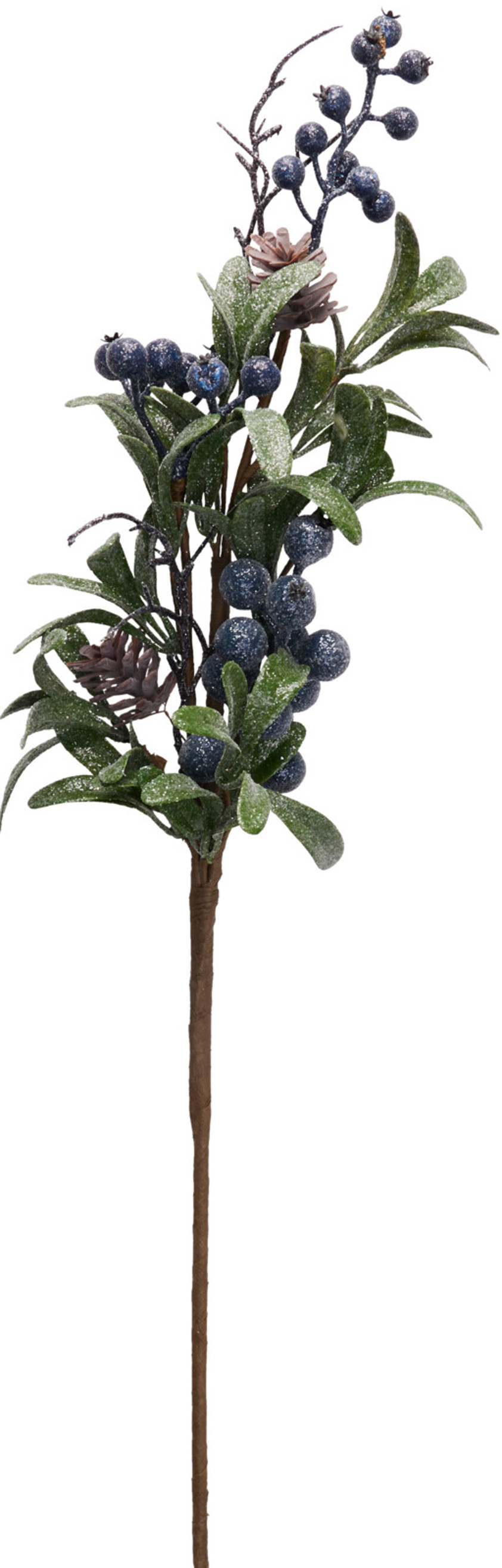 Blueberries Branch