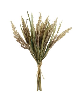  Dried Reed Wheat Bunch Oyster Mix