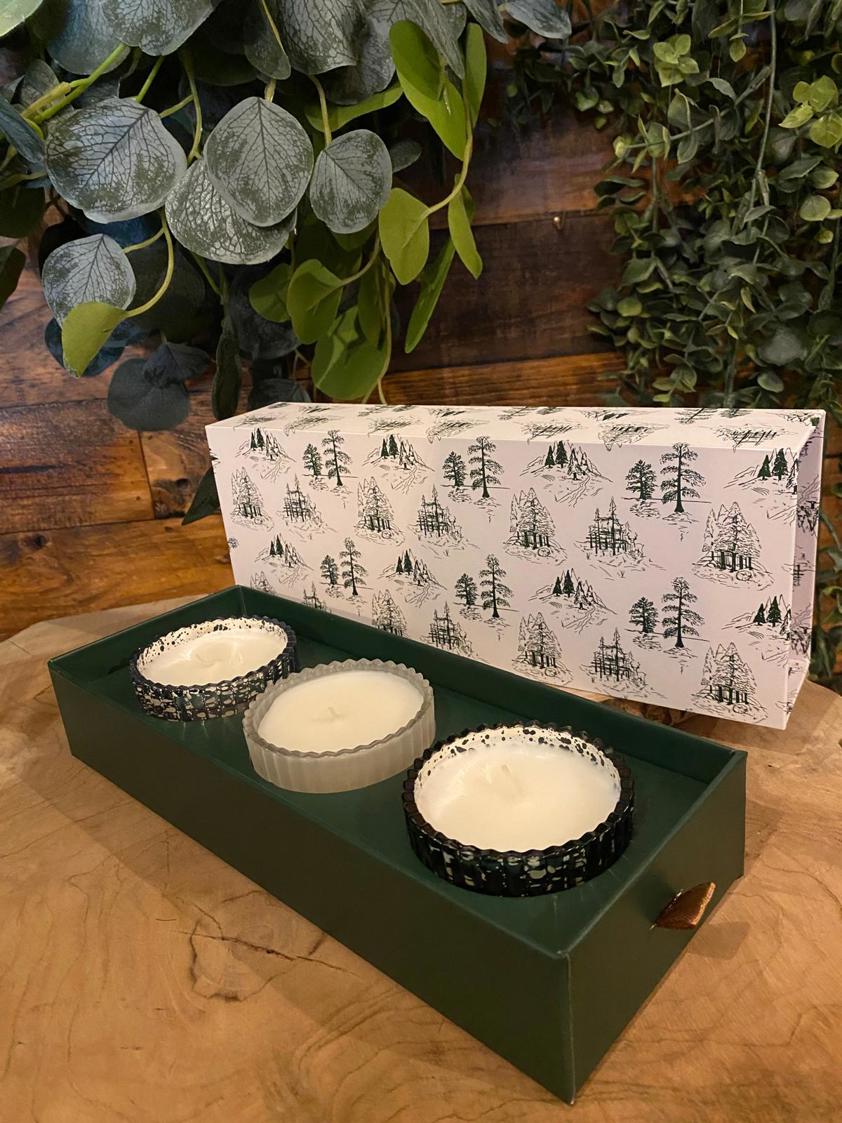 Paddywax Cyrpess Fir Glass Candle Gift Set