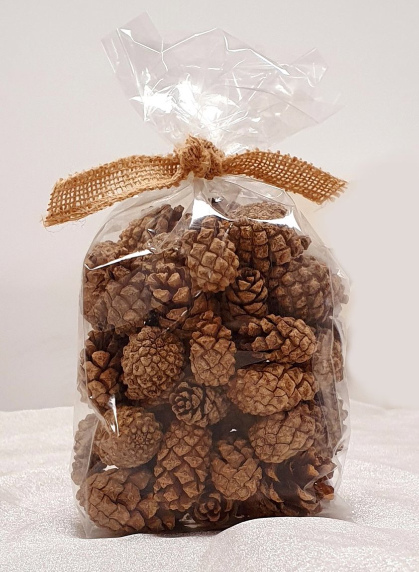 Pinecones In Bag