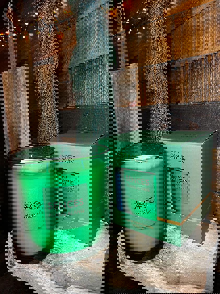 Large Alang Alang Three Wick Candle