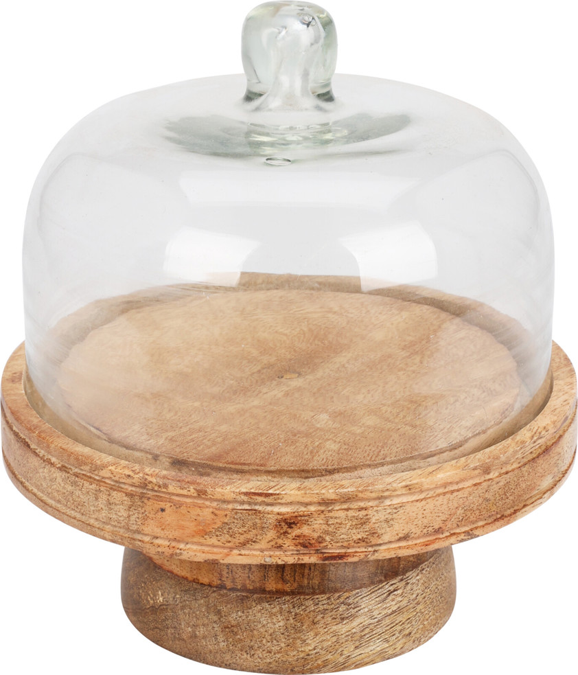 Small Cake Dome Small Cake Dome