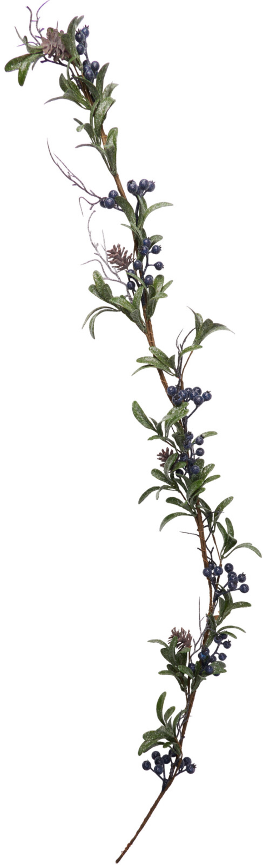 Blueberry Garland