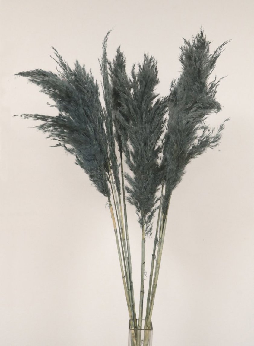 Extra Fluffy Pampas Bunch Grey 311243