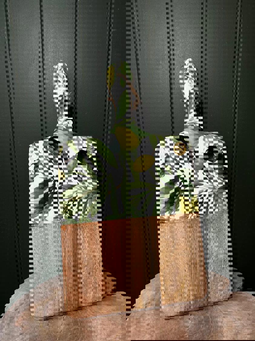 Olive Mango Wood Paddle Board