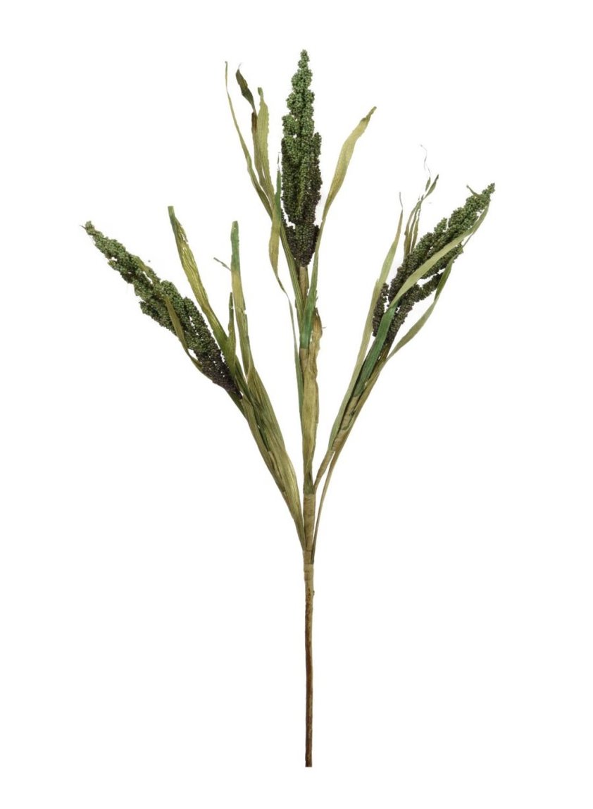 Dried Reed Wheat Spray Green 102900