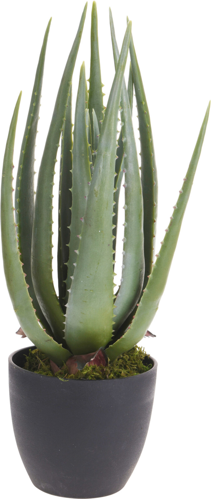 Faux Aloe Vera Plant in A Black Pot