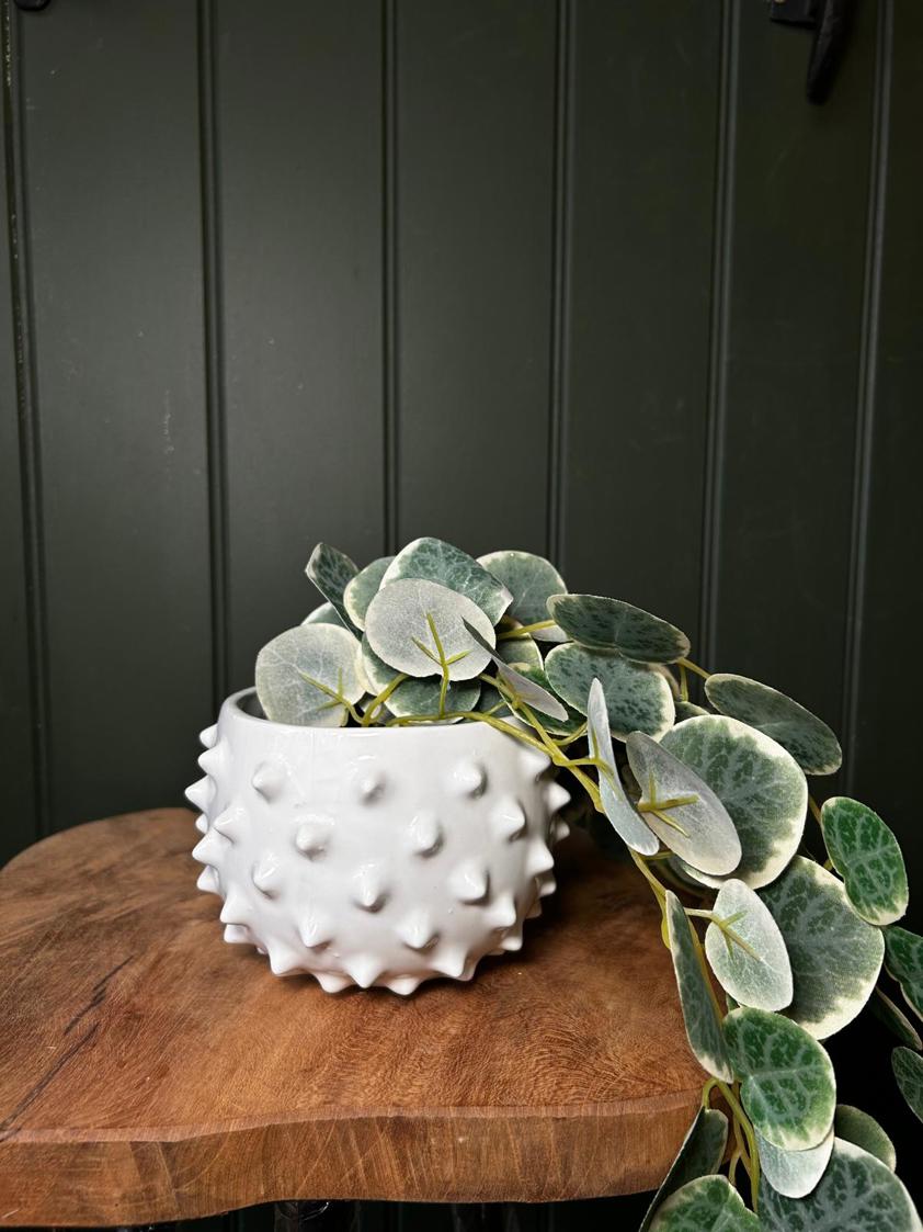 White Spikey Planter