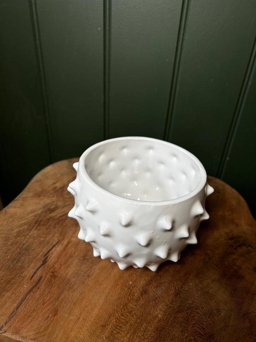 White Spikey Planter