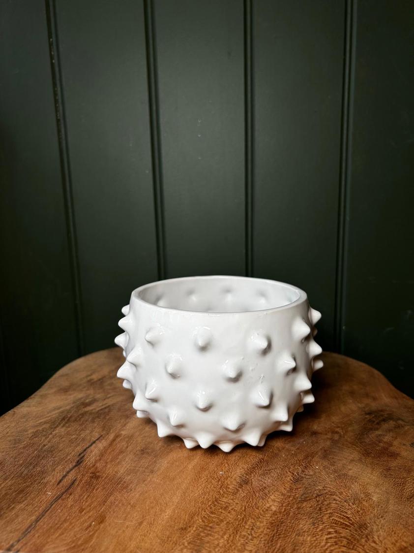 White Spikey Planter