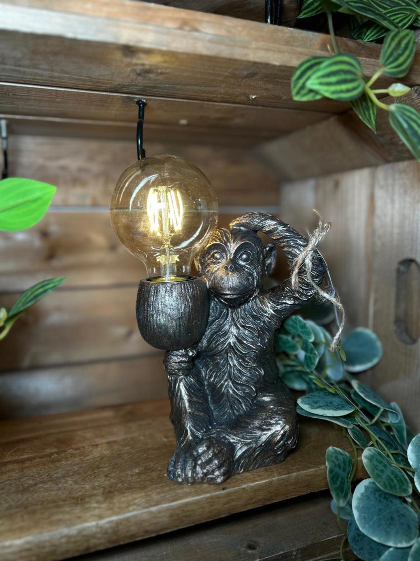 Monkey Light