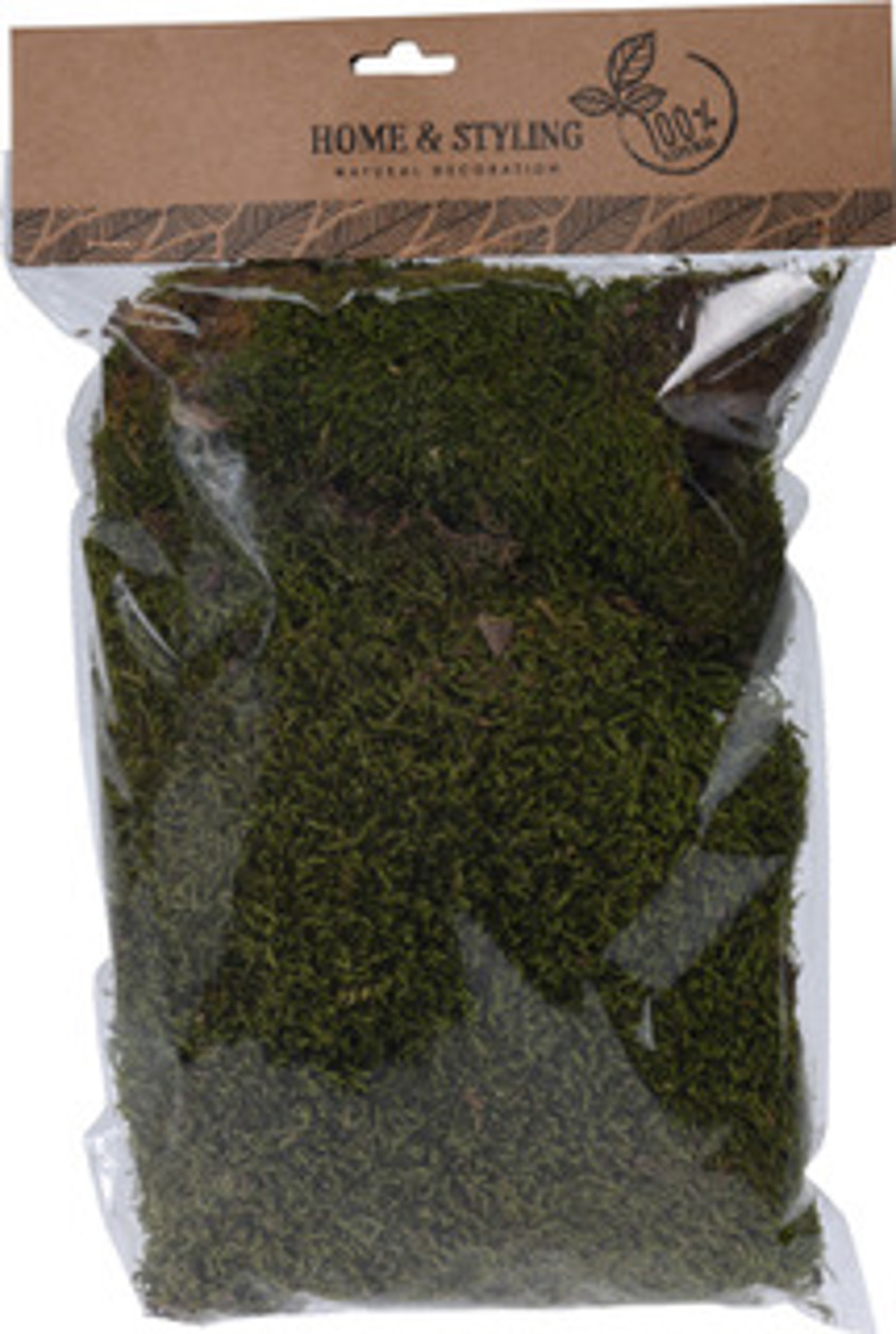 Natural Moss