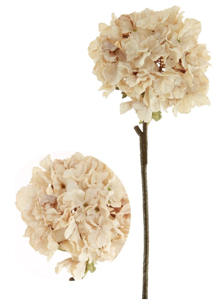 Dried Touch Ruffled Hydrangea Oyster 160860