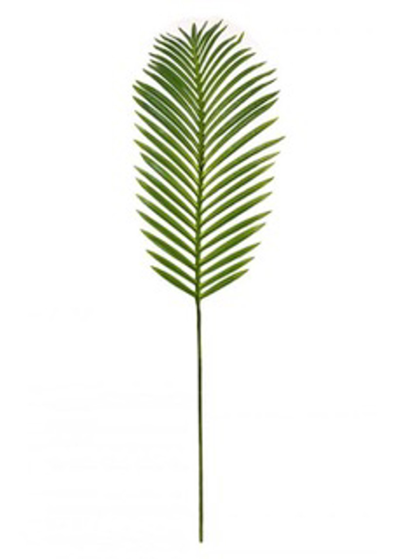 Extra Large Tropical Fern Leaf