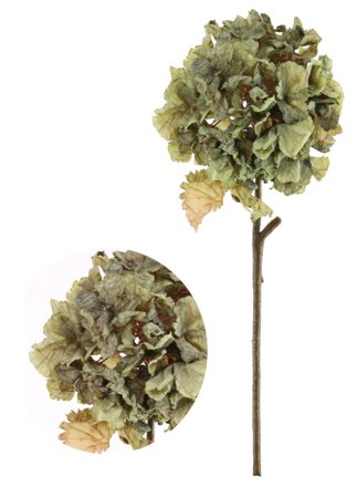  Dried Touch Ruffled Hydrangea green