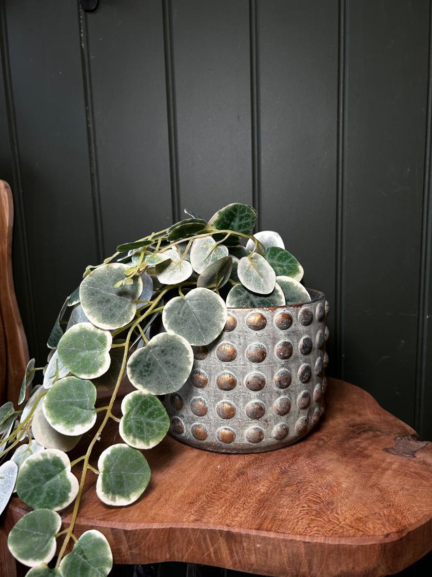 Rustic Dot Gold Detail Plant pot