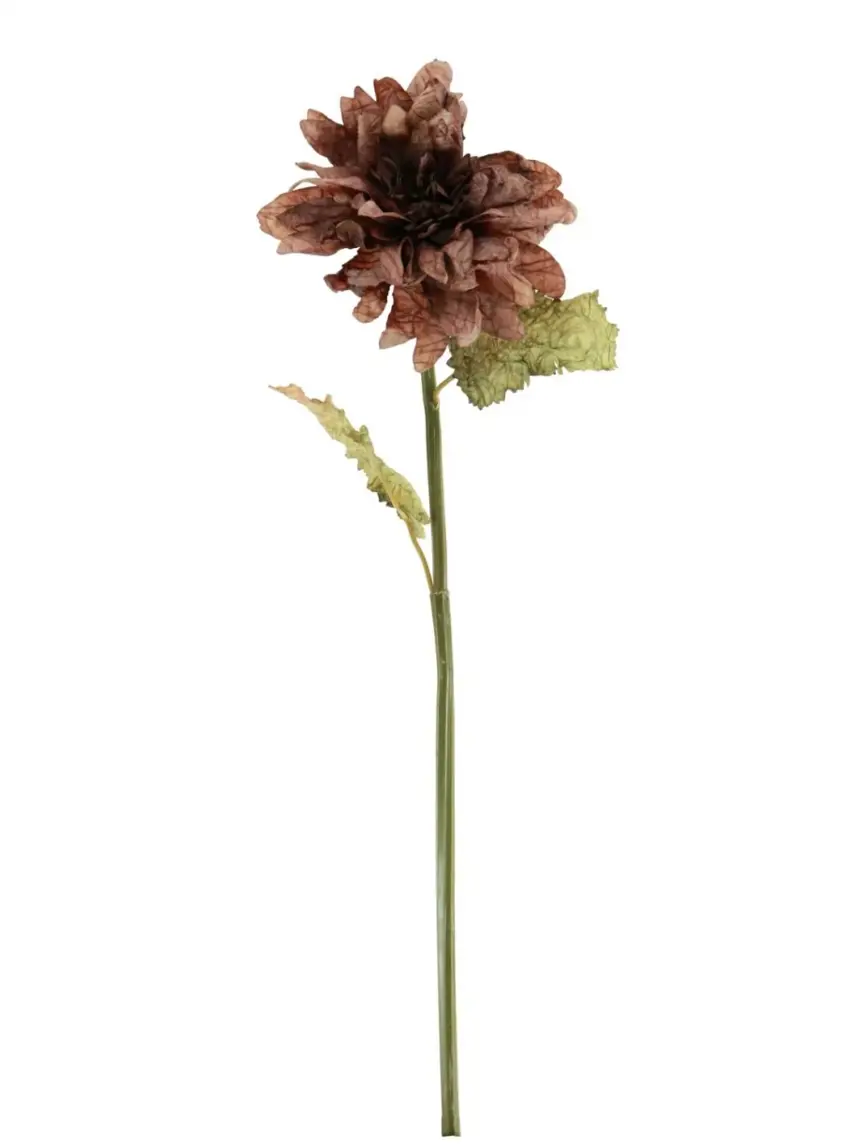 Dried Touch Ruffled Dahlia Mocha