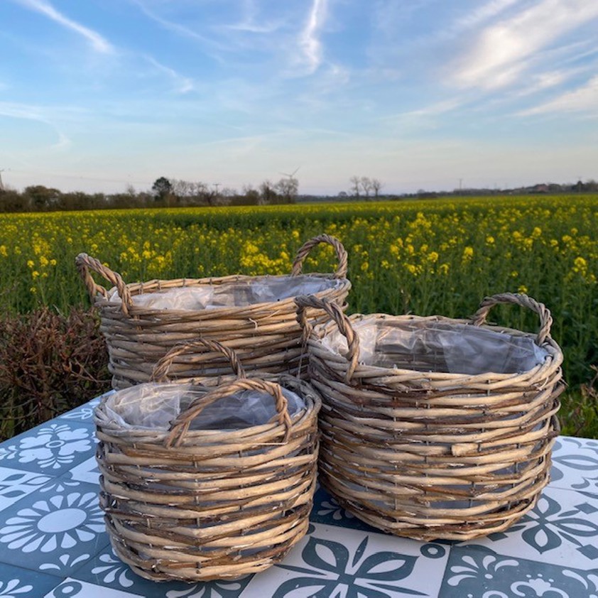 Plant Baskets