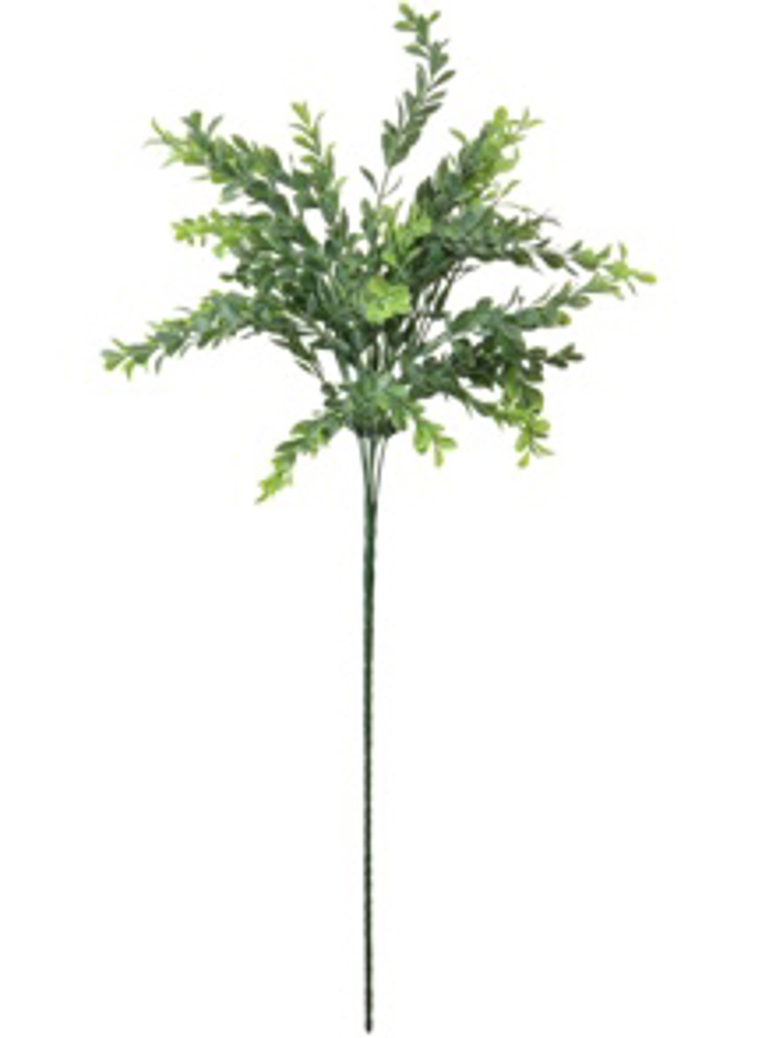 Long Stem Parvifolia Stem Nat Green
