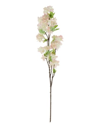  Cherry Blossom Pale Pink Stem