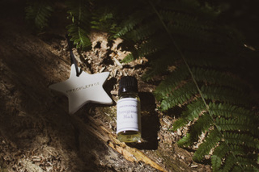 Freckleface Star Freckleface Star