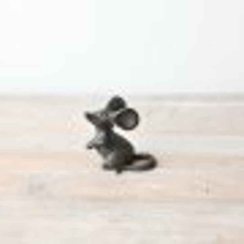 Cast Iron Mouse
