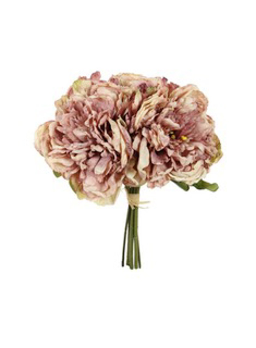 Dried Touch Open Peony Dusty Pink Bunch