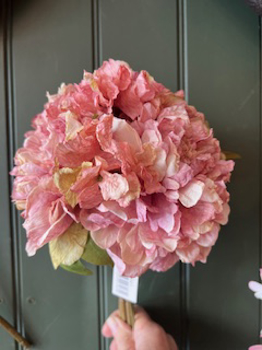 Dried Touch Open Peony Dusty Pink Bunch
