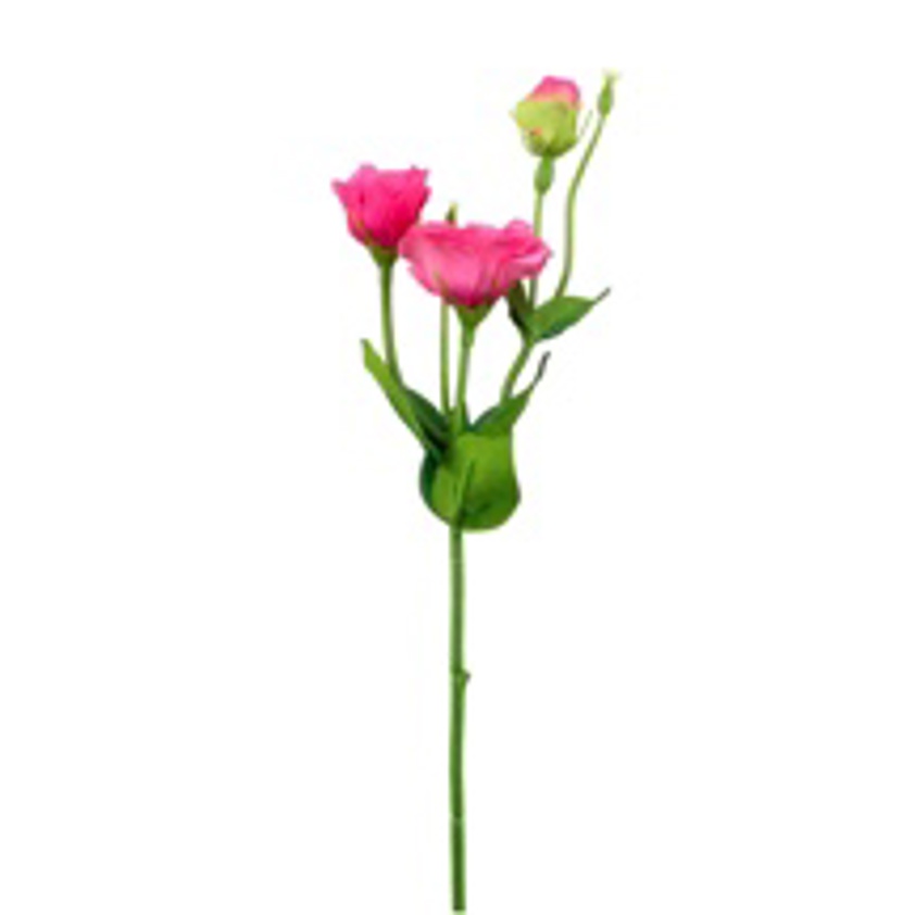 Hot Pink Frilly Small Lisianthus Spray