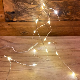 Copper (Extra Warm White) 20LED Wire Lights