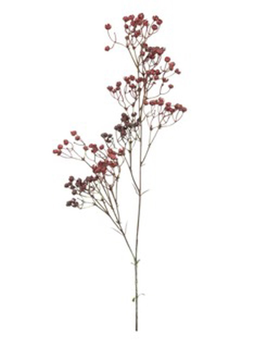 Dried look Linium Spray Deep Red