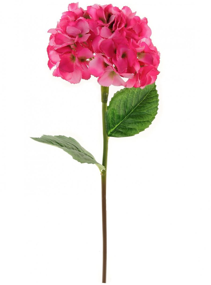 Silk Mophead Hydrangea Hot Pink