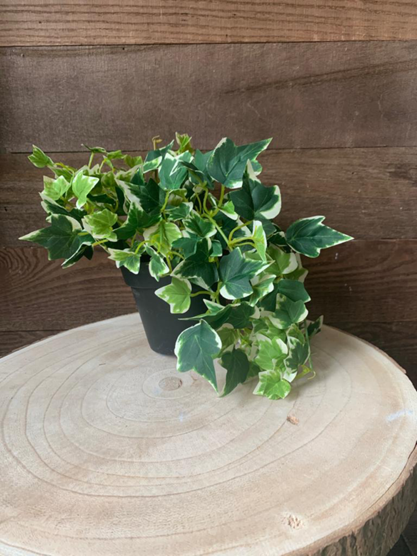 Style 4 Artificial Hanging Ivy Plant