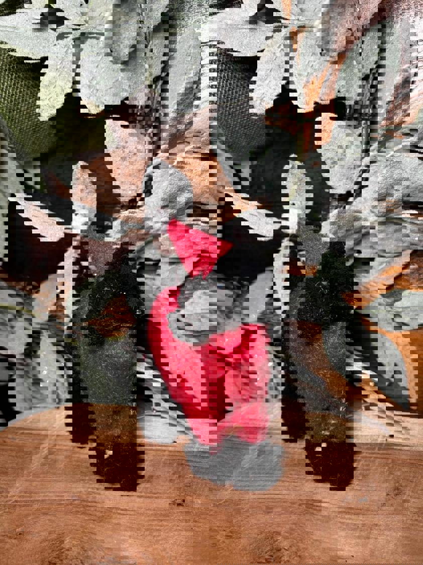 Hanging Dog Decor Hanging Dog Decor