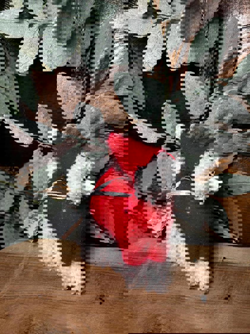 Hanging Dog Decor Hanging Dog Decor