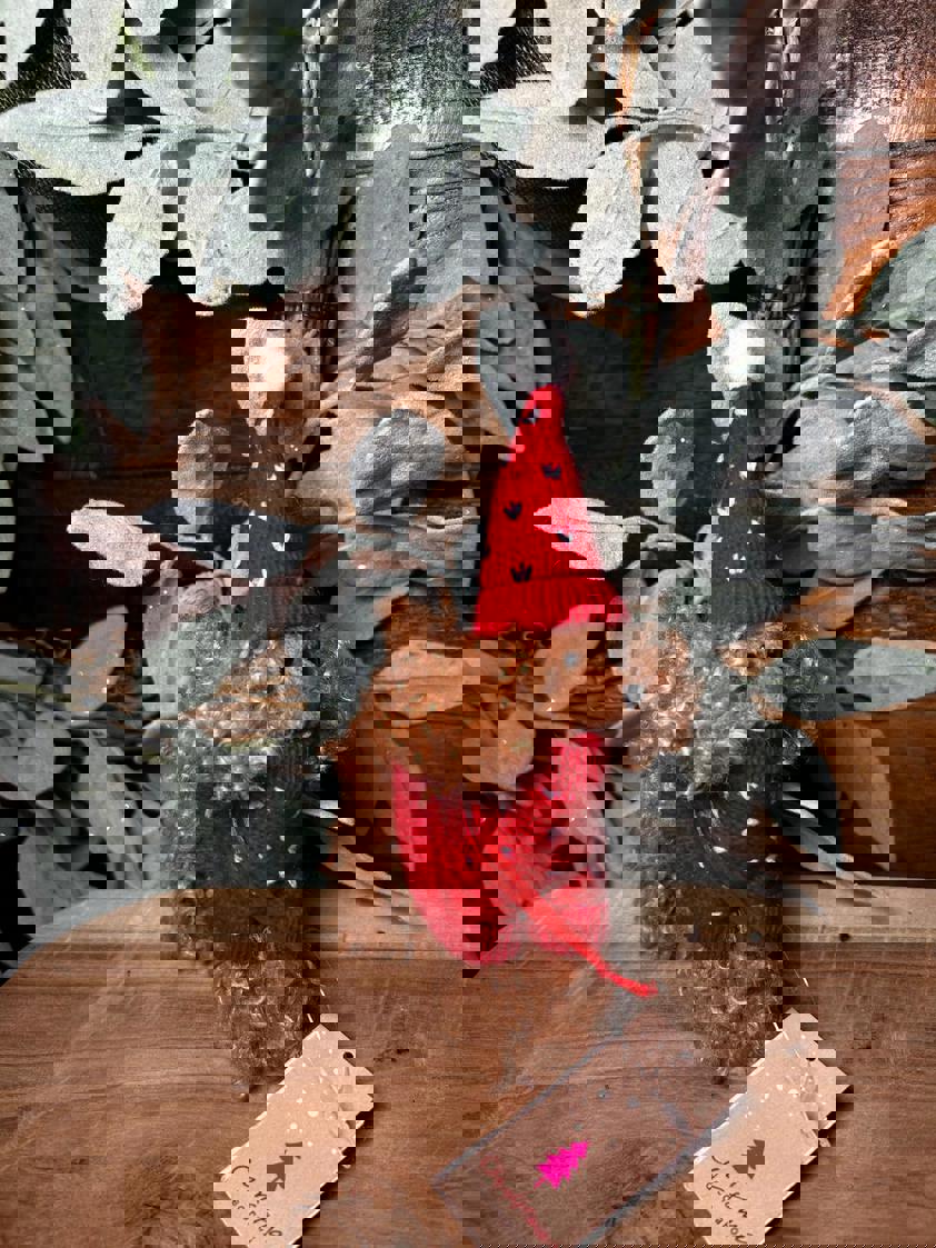 Hanging Dog Decor Hanging Dog Decor