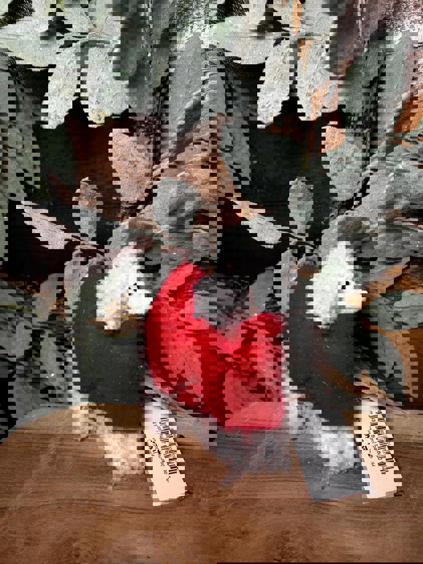 Hanging Dog Decor Hanging Dog Decor