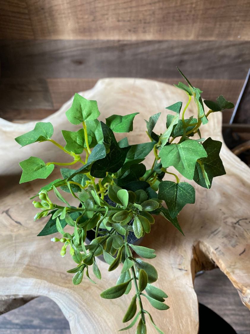 3 Point Leaf Small Artificial Plant in Black Pot