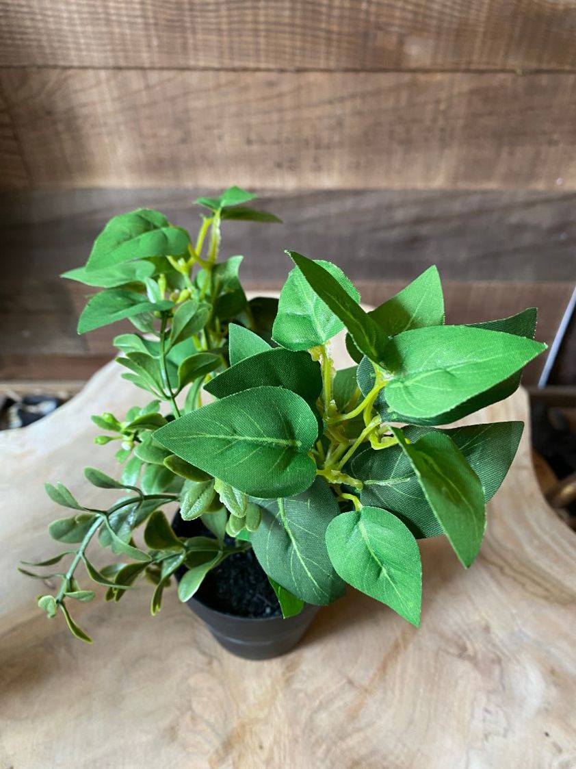 Full Green Leaf Small Artificial Plant in Black Pot
