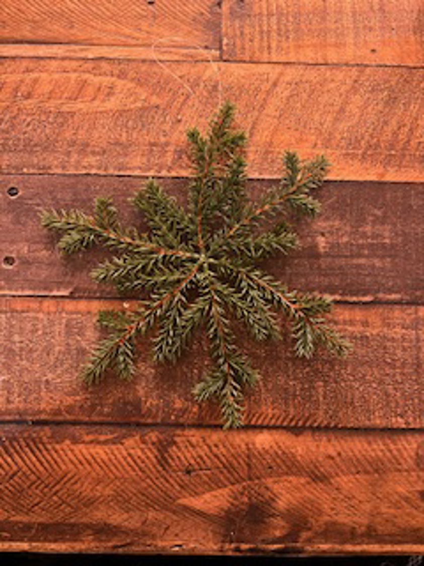 Hanging Pine Star Deco