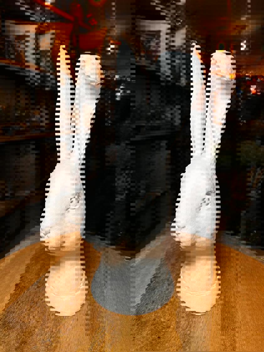 Floppy Ear White Rabbit Head