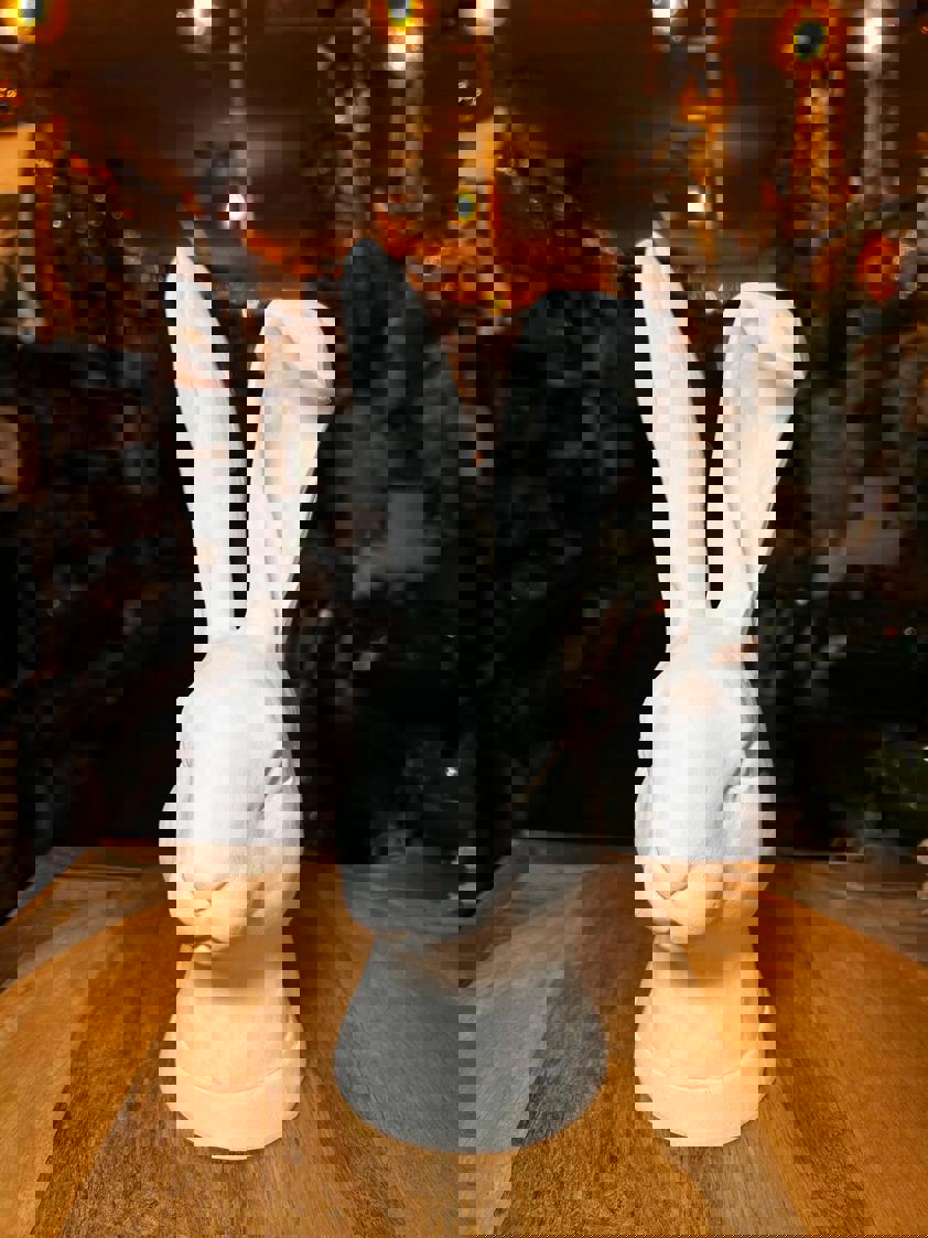 Floppy Ear White Rabbit Head