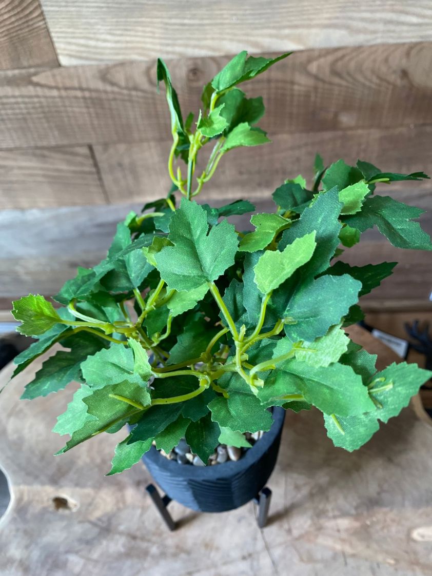 Sharp Leaf Artificial Plant in Black Planter